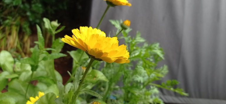 IMG_20250605_094913.jpg