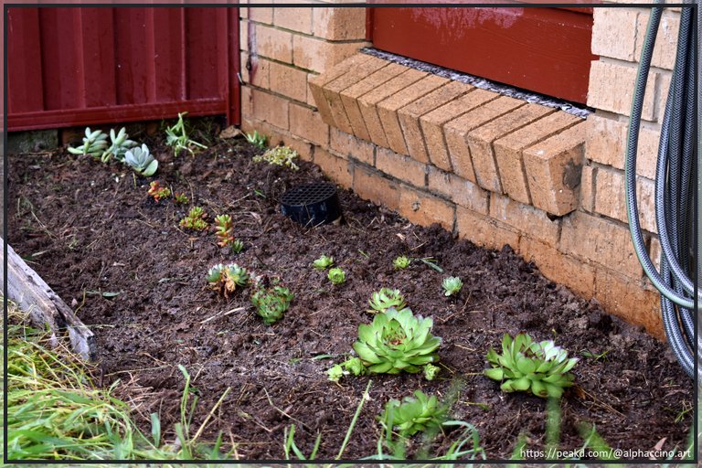 I've even repurposed some old fence palings