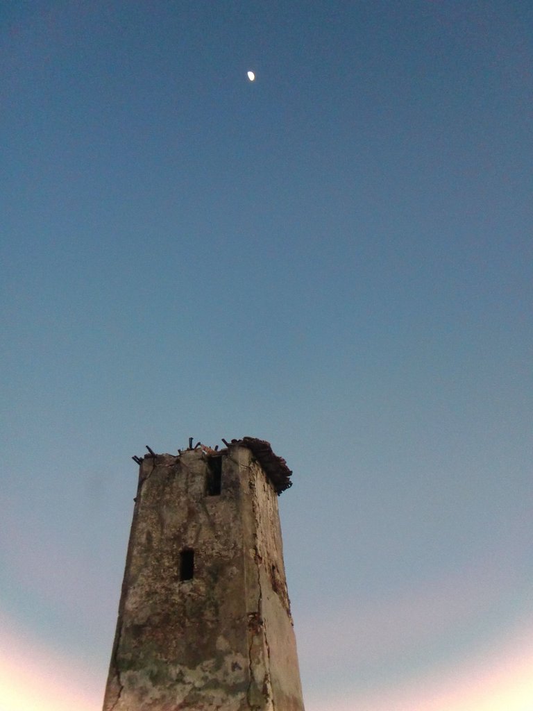 CIMG0540.jpg