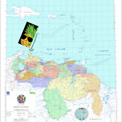 mapa venezuela cabo san roman.png