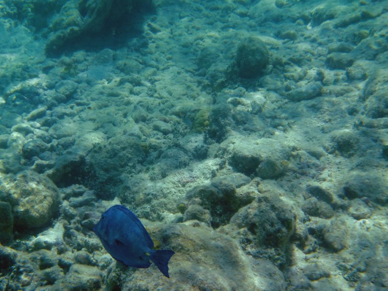 CIMG0645.jpg
