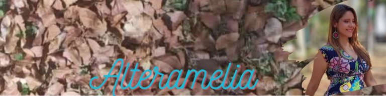 Alteramelia banner htm.jpg