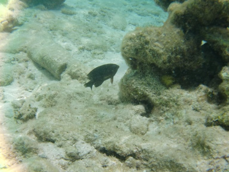 CIMG0229.jpg