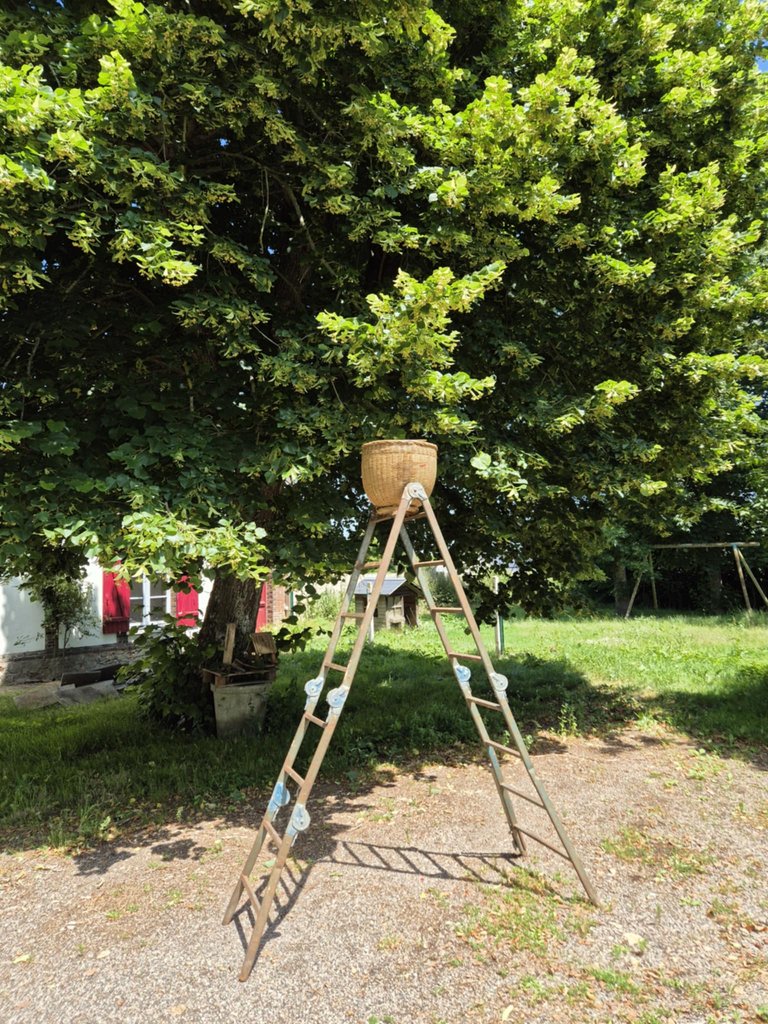 4 - illeul.jpg