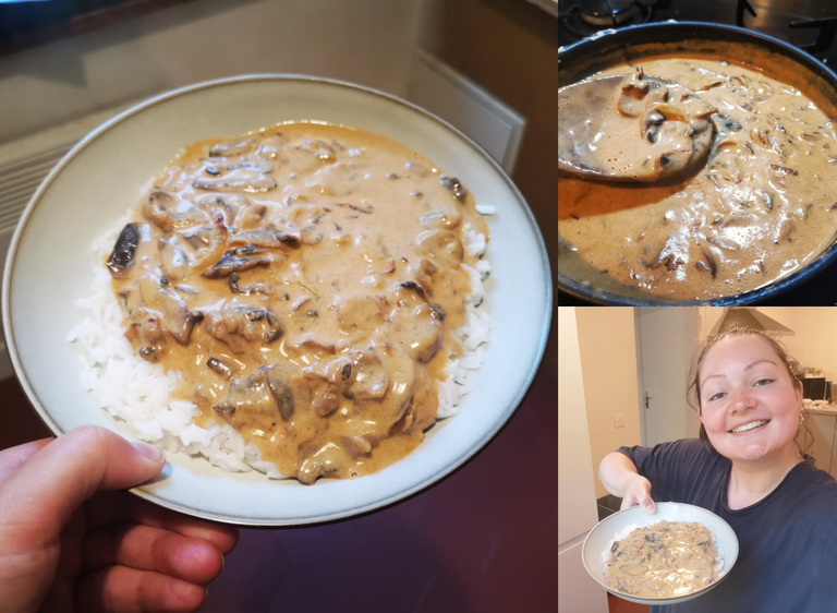 stroganoff.png