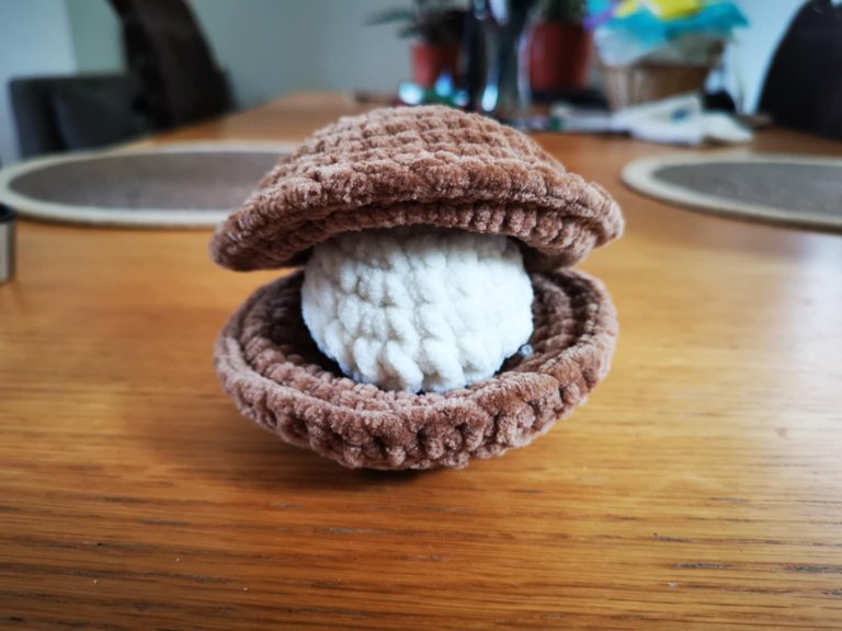42-palourde crochet.jpg