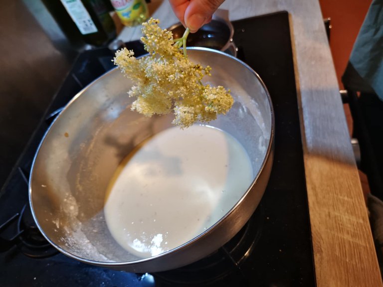 8-beignets fleurs sureau.jpg