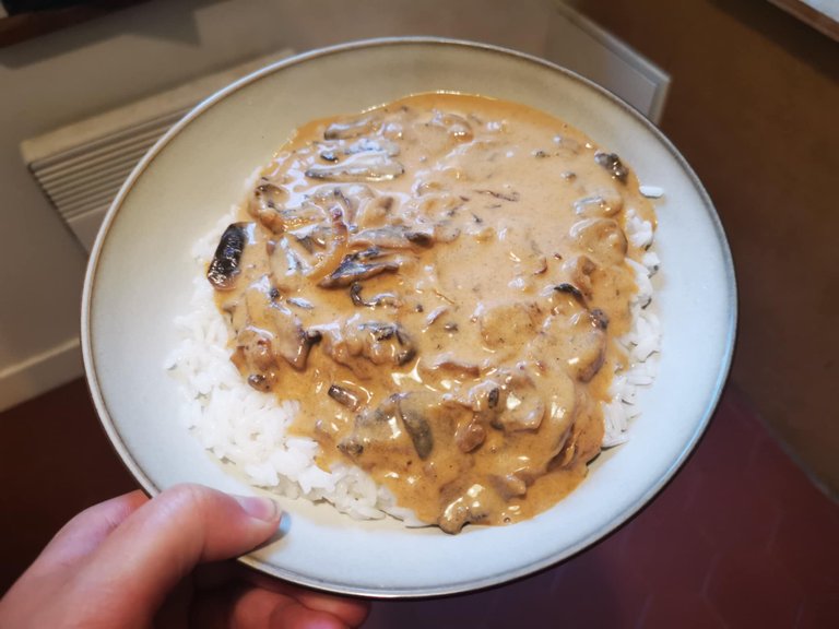 30-stroganoff.jpg