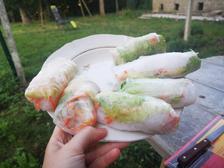 17-rouleaux de printemps.jpg