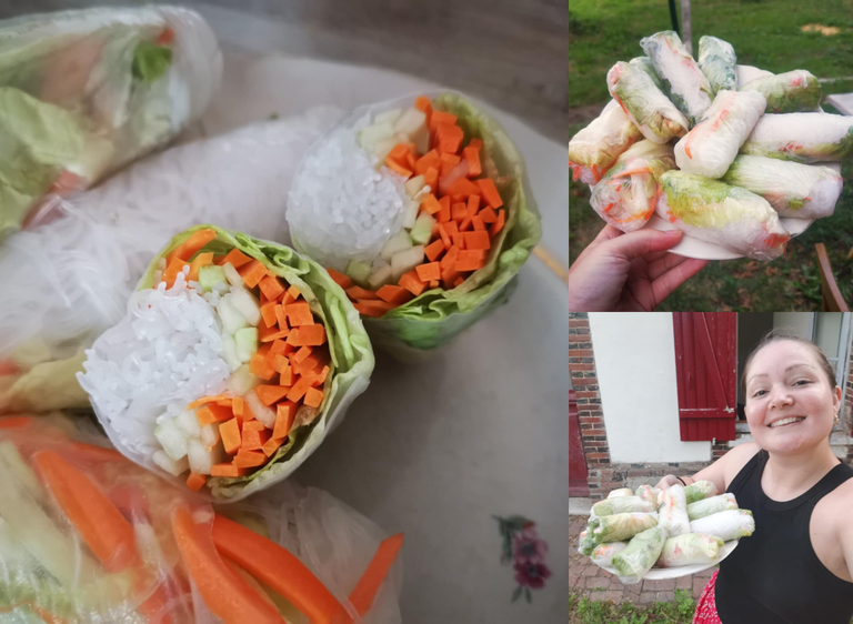 rouleaux de printemps.png