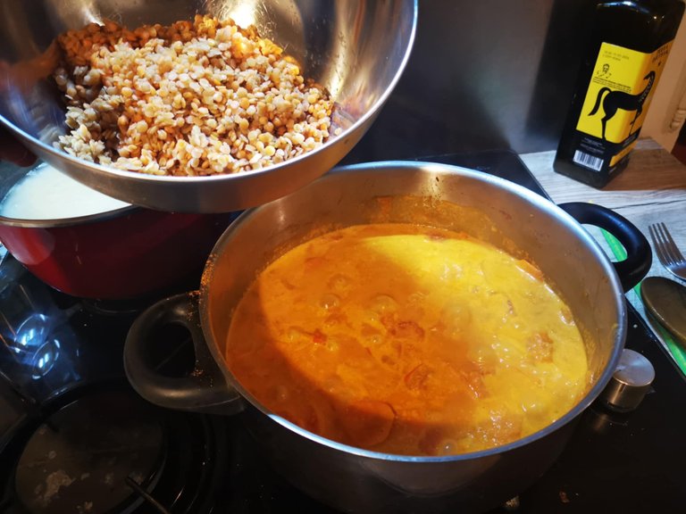 22- dahl de lentilles.jpg