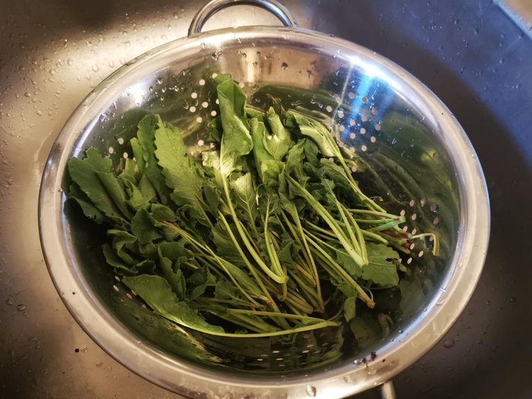 5-pesto radis.jpg