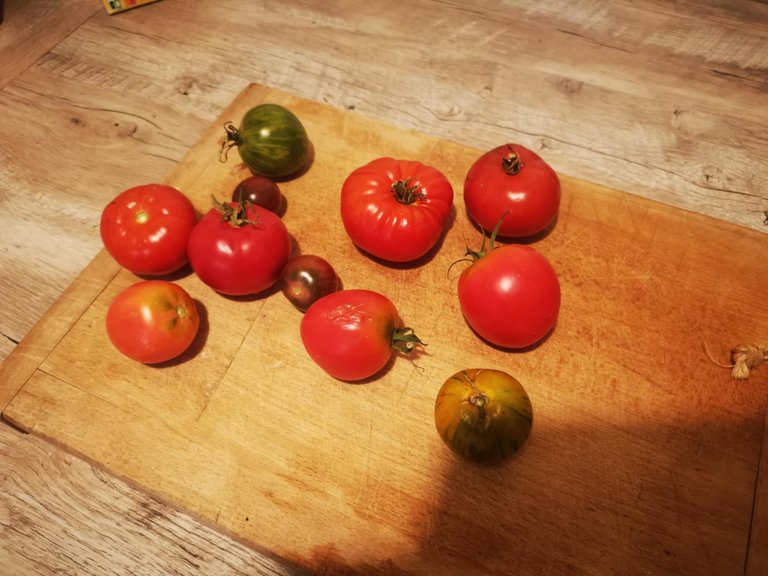 10-tarte à la tomate.jpg