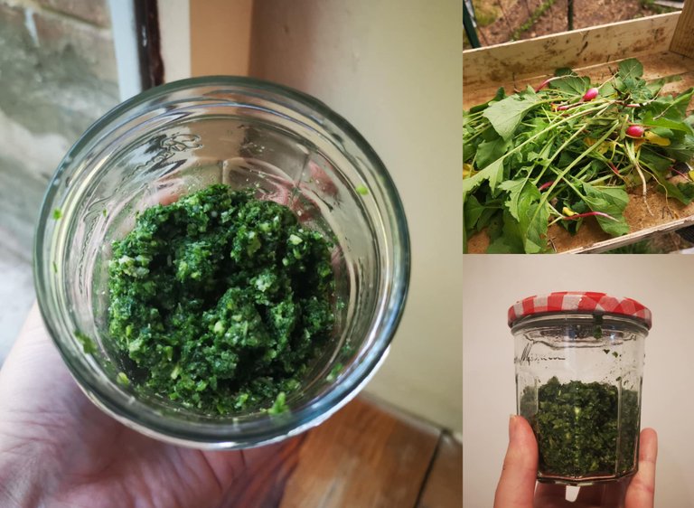 pesto fane de radis.png