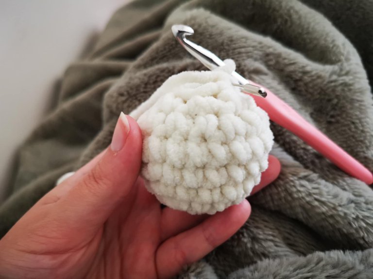 26-palourde crochet.jpg