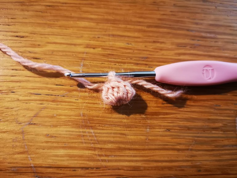 17-bourgon crochet.jpg