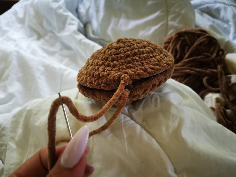 33-palourde crochet.jpg