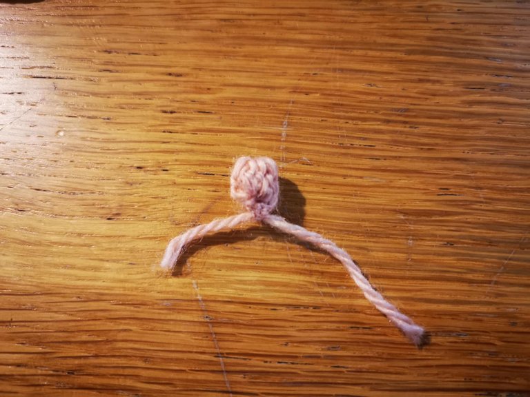 18-bourgon crochet.jpg