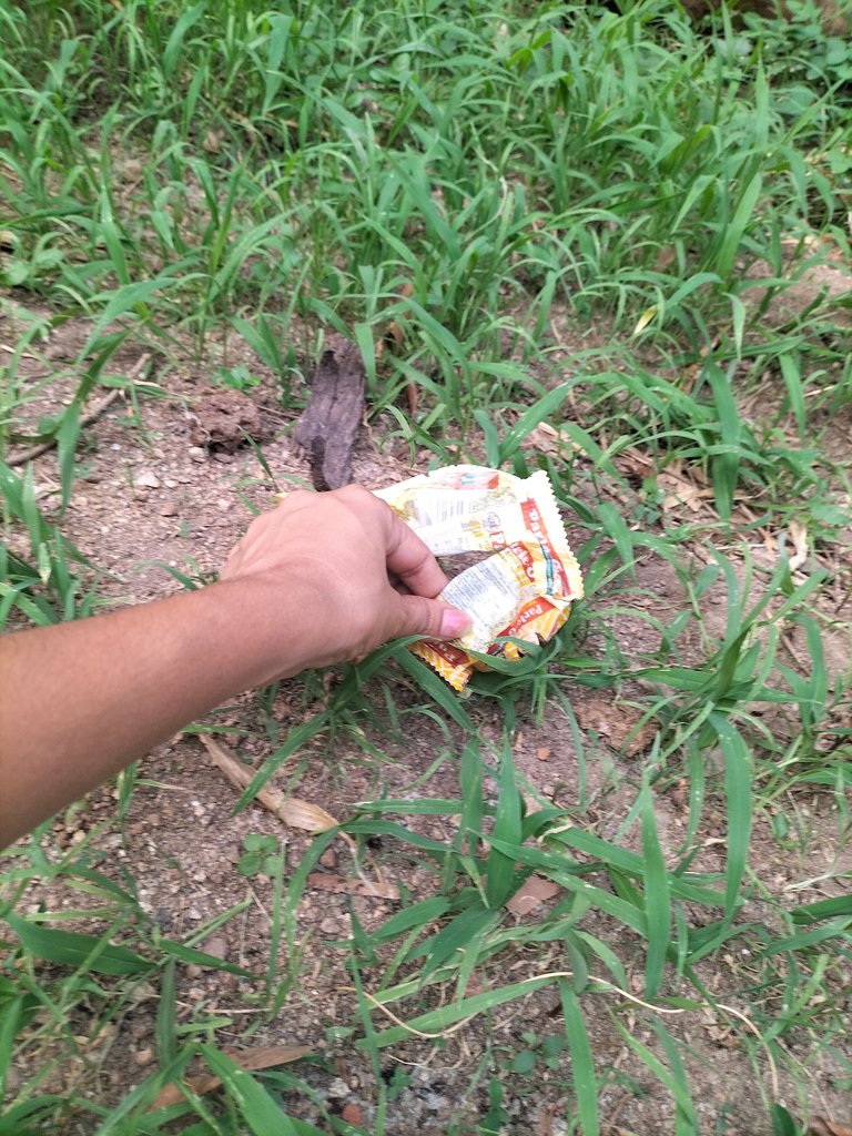 IMG20250521182236.jpg