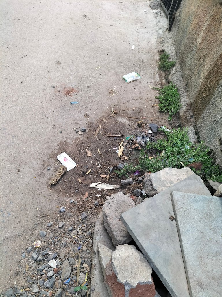 IMG20250520181257.jpg