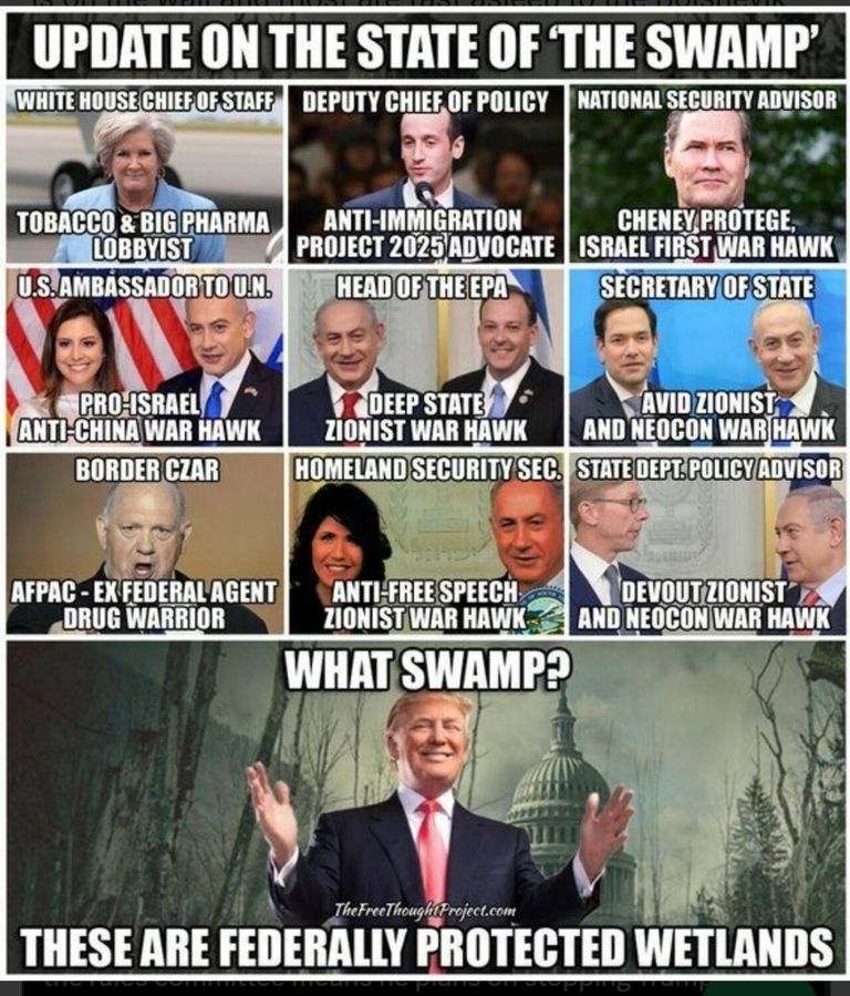 Trump Appointing the Swamp.png