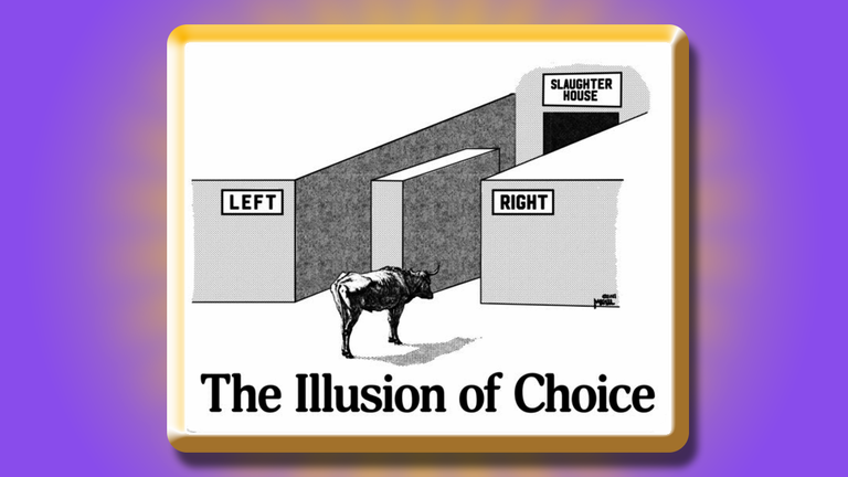Choice.png
