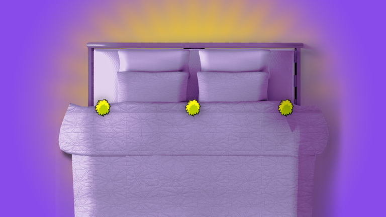 Bed.png