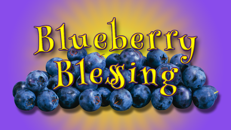 Blueberry Blessing Header.png