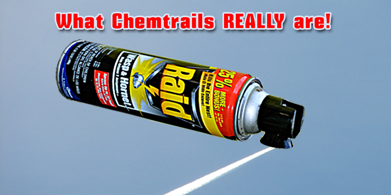 39 What Chemtrails Really Are.png