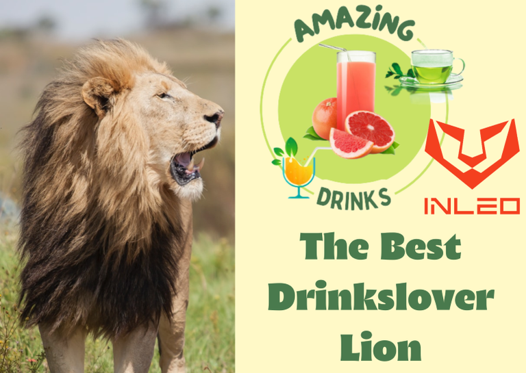 BEST DRINKSLOVER LION.png