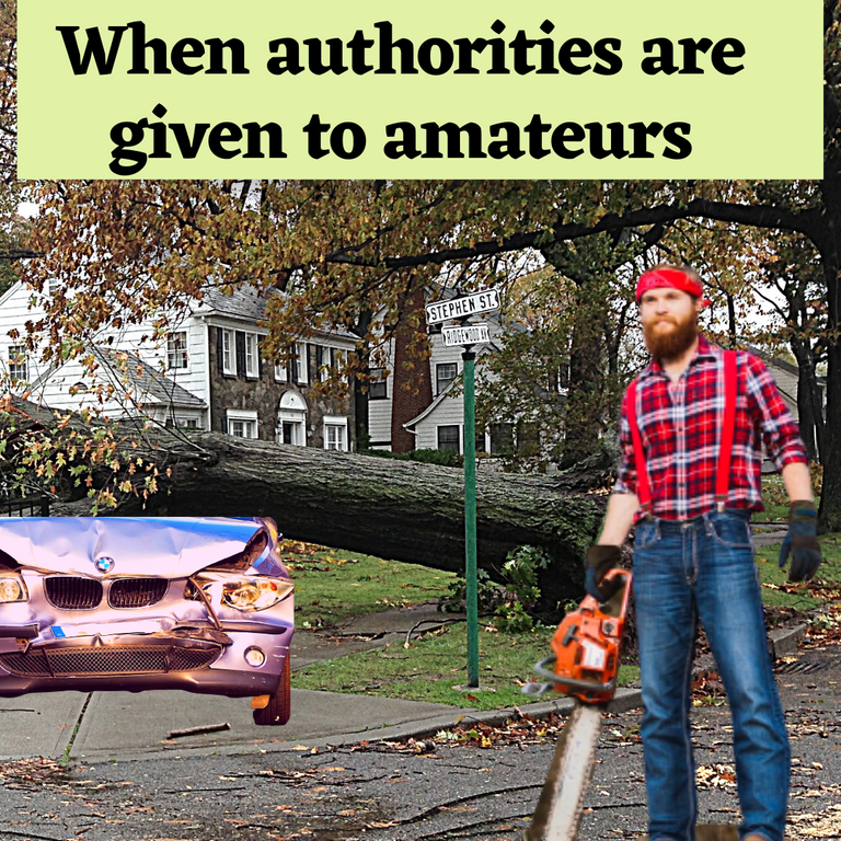 When authorities are given to amatures.png