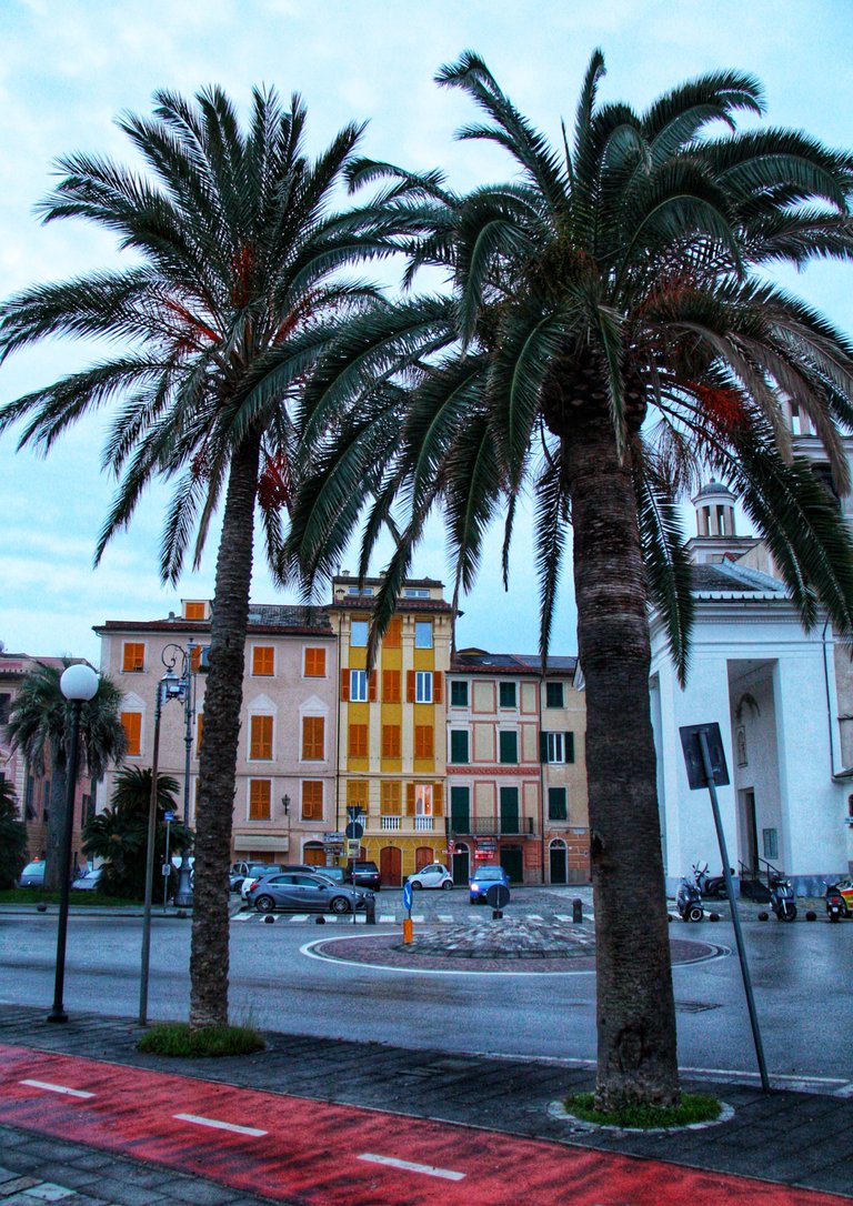 Palm trees on the promenade of Sestri Levante... 