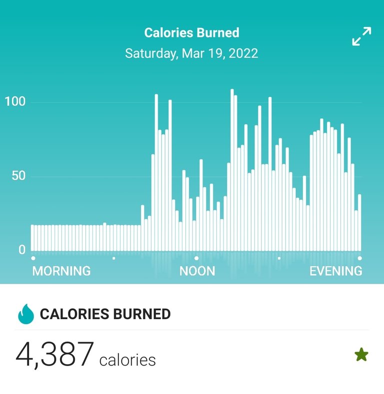 Screenshot_20220320-060252_Fitbit.jpg