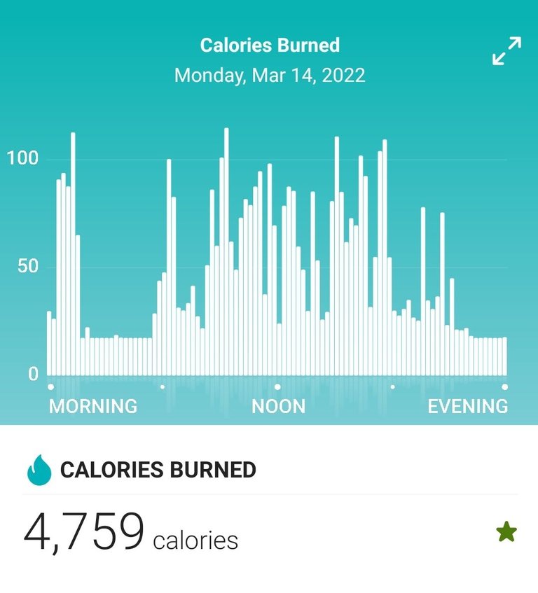 Screenshot_20220315-212653_Fitbit.jpg