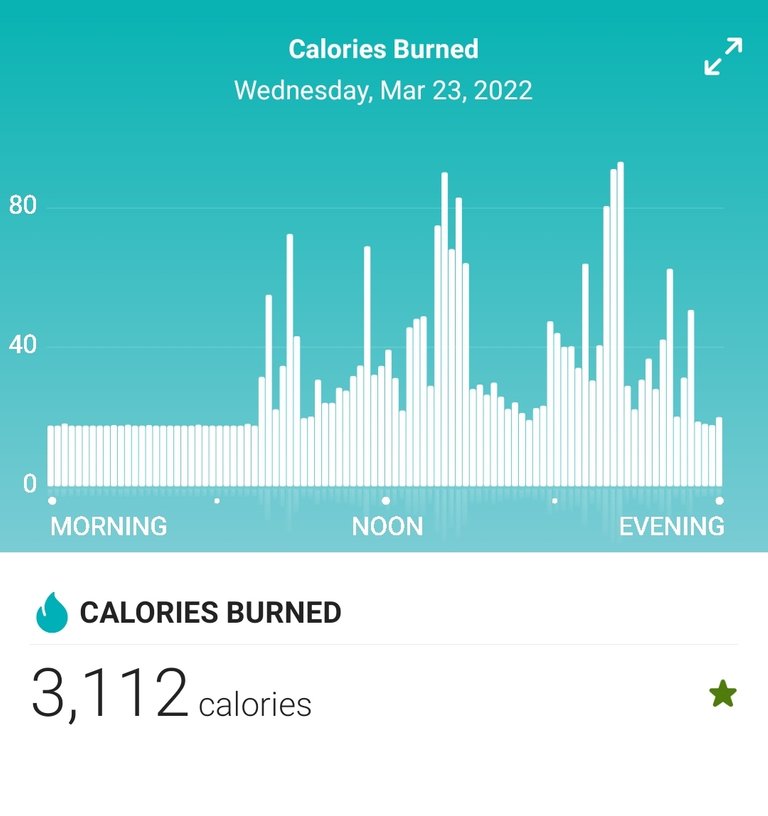 Screenshot_20220324-085110_Fitbit.jpg