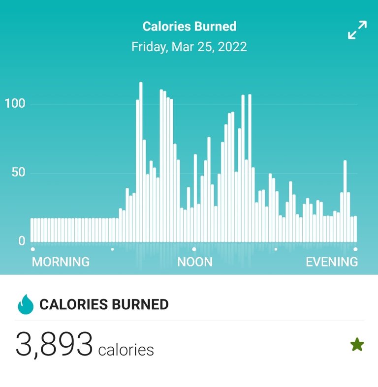 Screenshot_20220326-075322_Fitbit.jpg