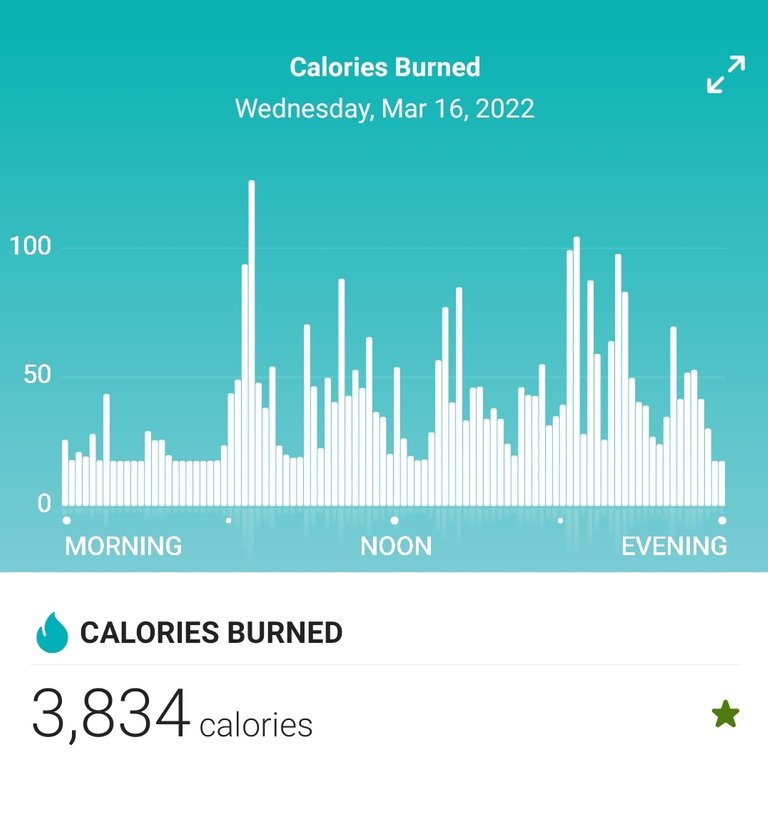 Screenshot_20220317-082917_Fitbit.jpg