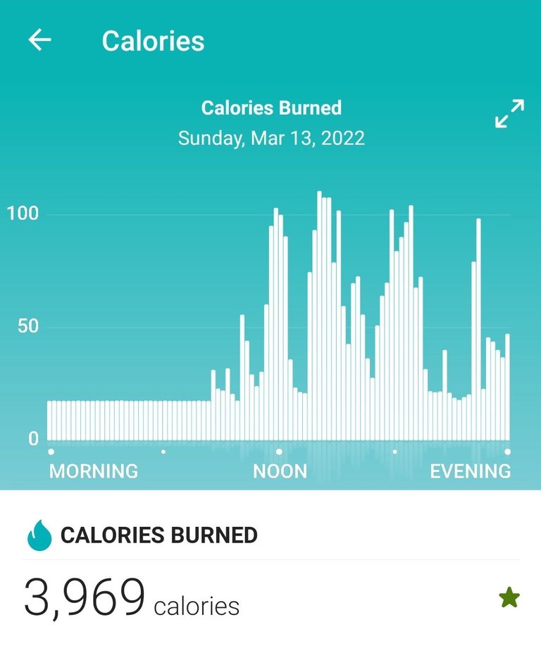 Screenshot_20220314-204658_Fitbit.jpg