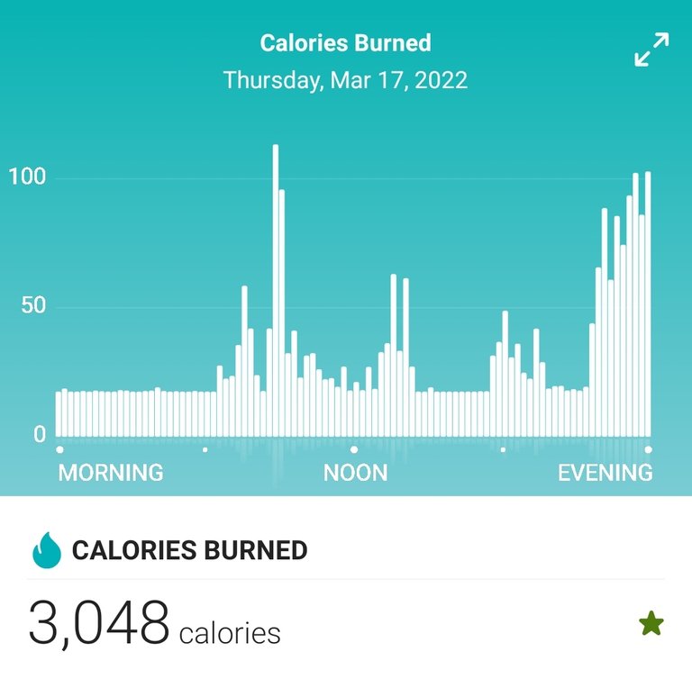 Screenshot_20220318-204706_Fitbit.jpg