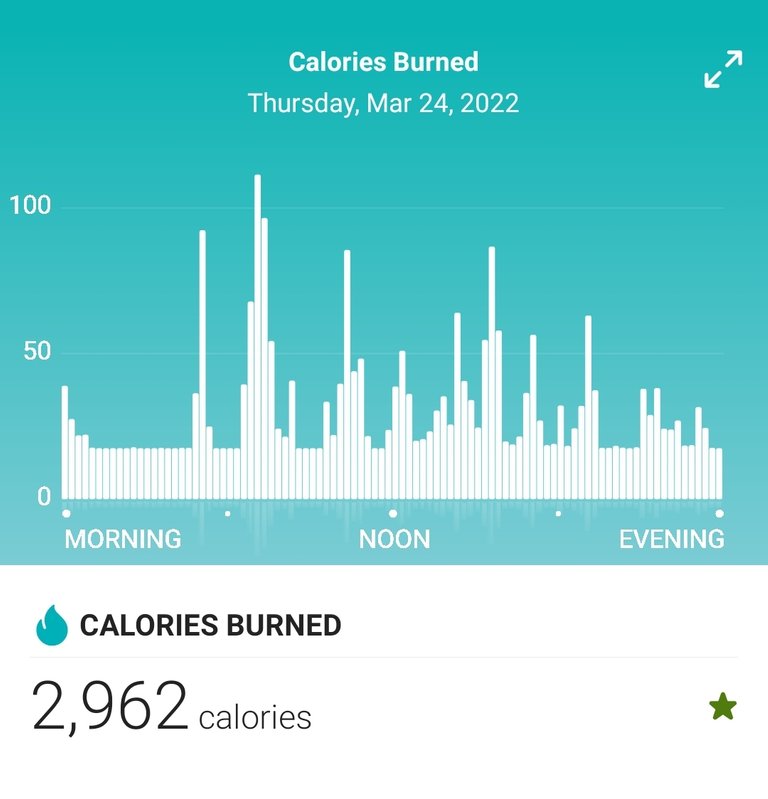 Screenshot_20220325-232806_Fitbit.jpg