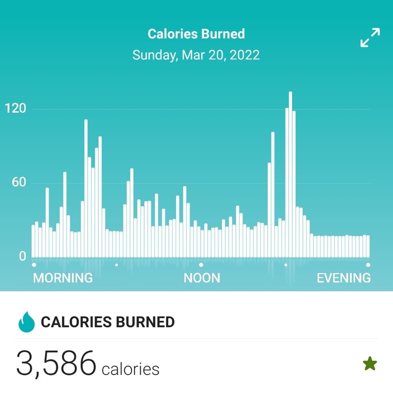 Screenshot_20220321-160201_Fitbit.jpg