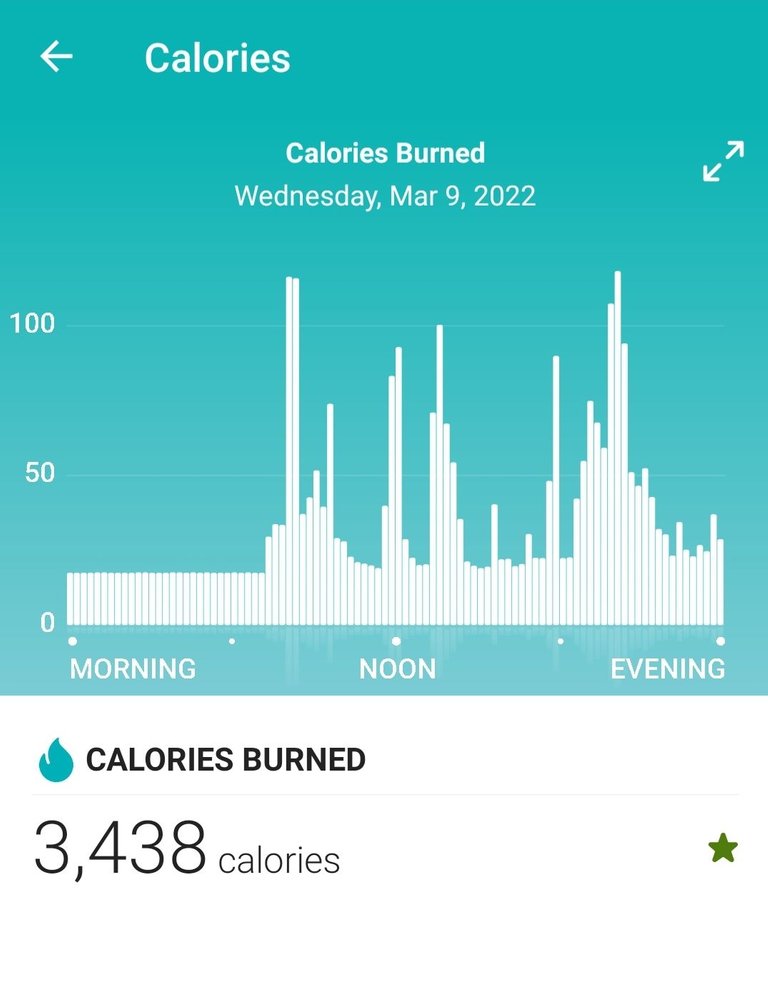 Screenshot_20220310-091636_Fitbit.jpg