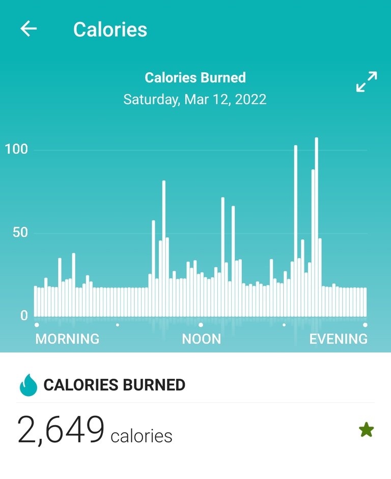 Screenshot_20220313-150504_Fitbit.jpg