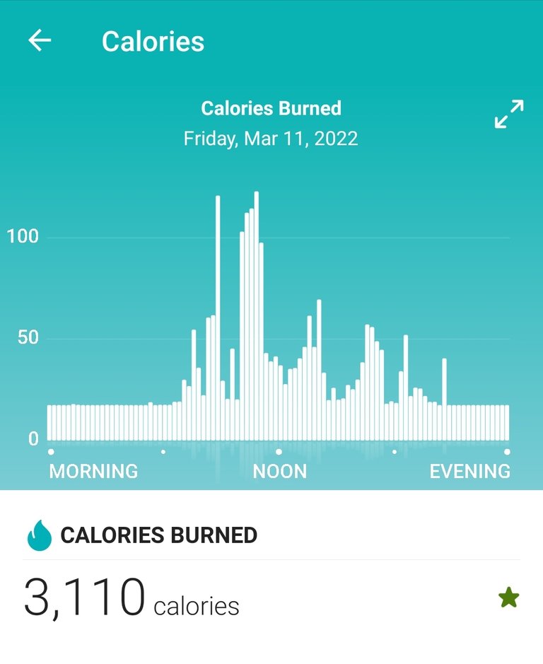 Screenshot_20220312-203846_Fitbit.jpg