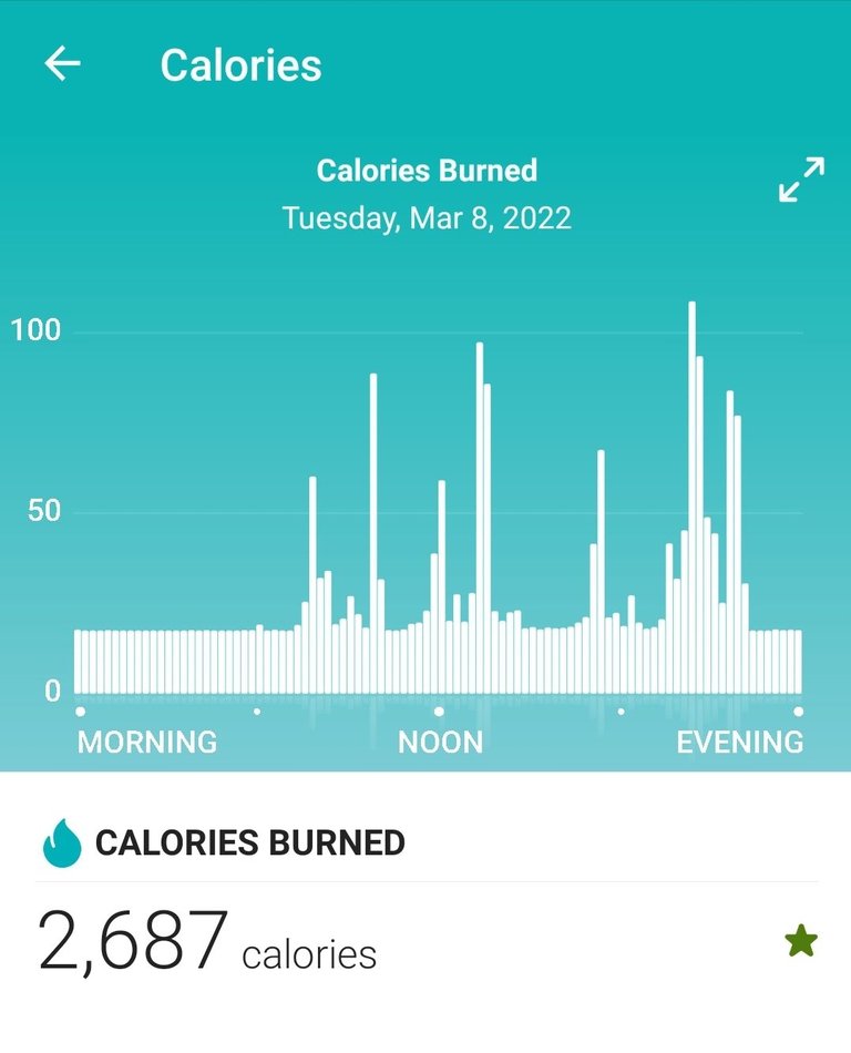 Calories Burned