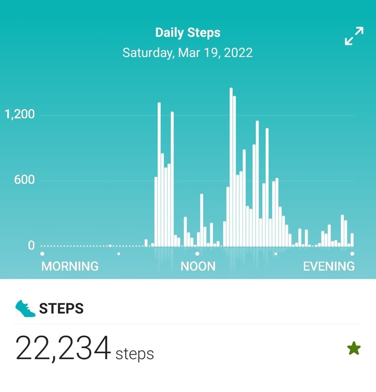 Screenshot_20220320-060157_Fitbit.jpg