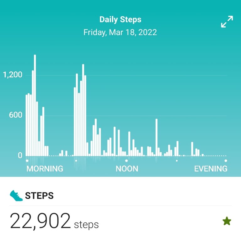 Screenshot_20220319-095010_Fitbit.jpg