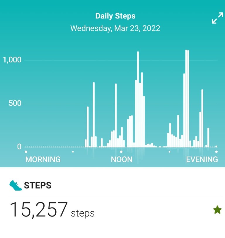 Screenshot_20220324-085026_Fitbit.jpg