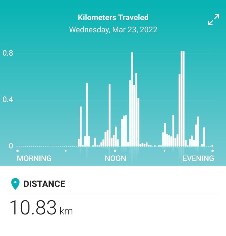 Screenshot_20220324-085048_Fitbit.jpg