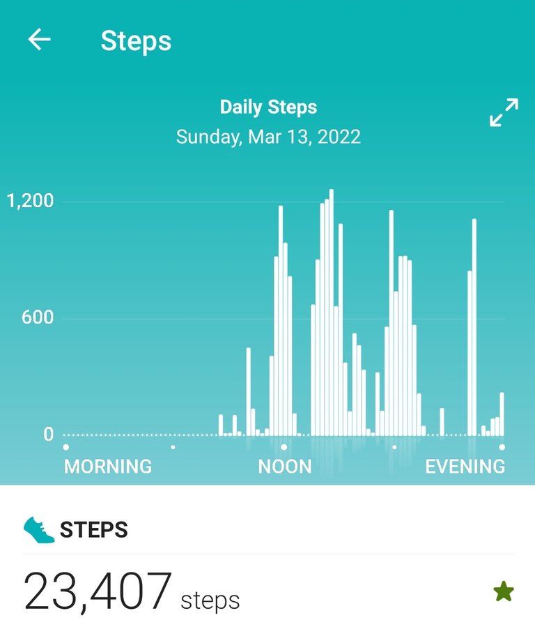 Screenshot_20220314-204621_Fitbit.jpg